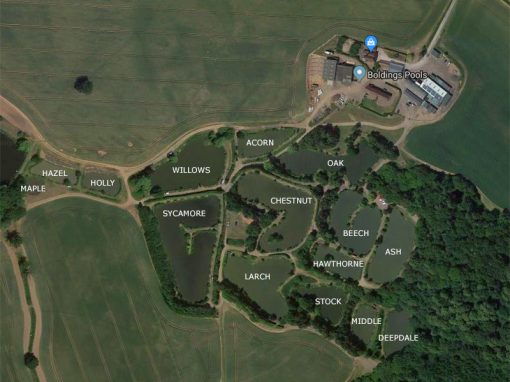 Boldings Pools, from the fishery's own website