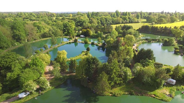 Boldings Pools, from the fishery's own website